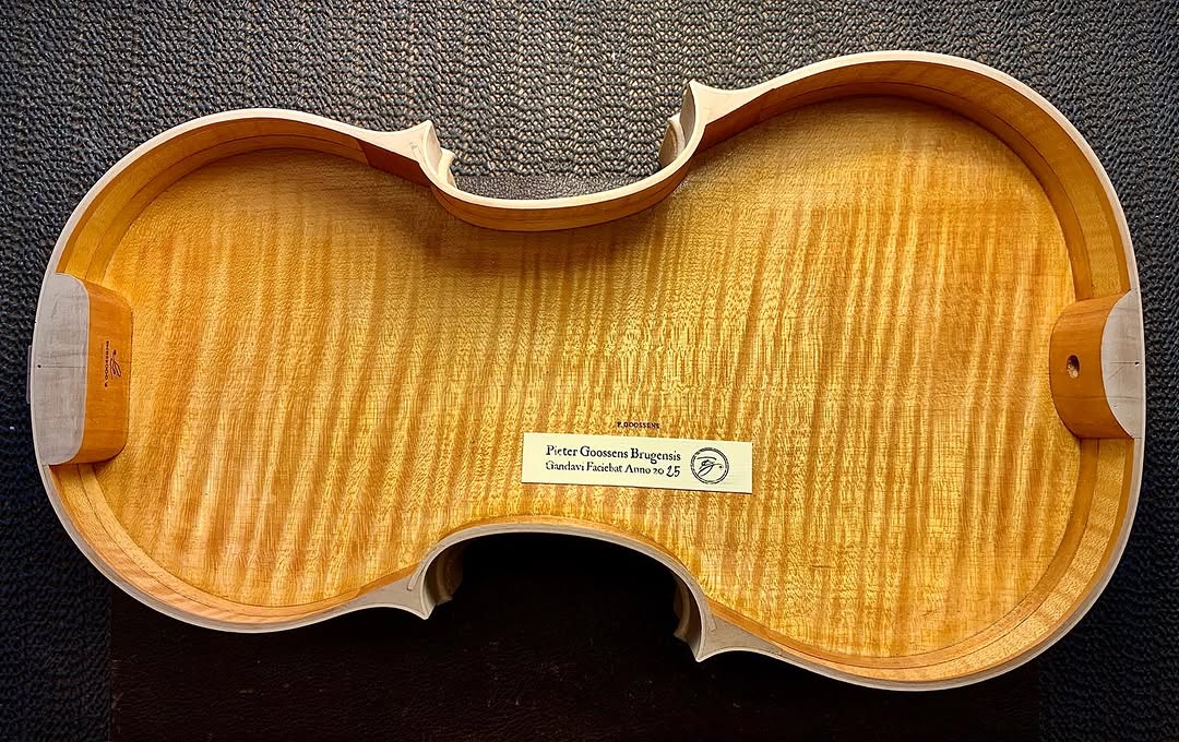 Inside the soundbox — violin interior craftsmanship