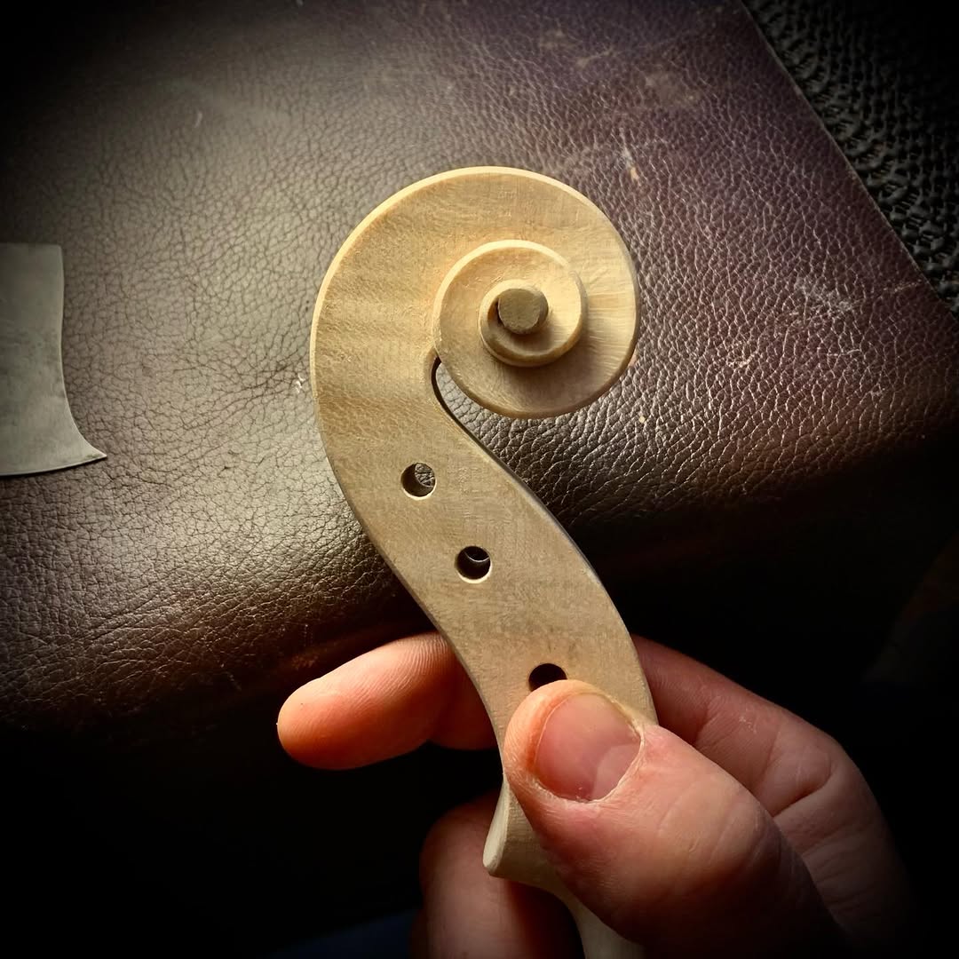 Freshly carved scroll — volute and pegbox detail