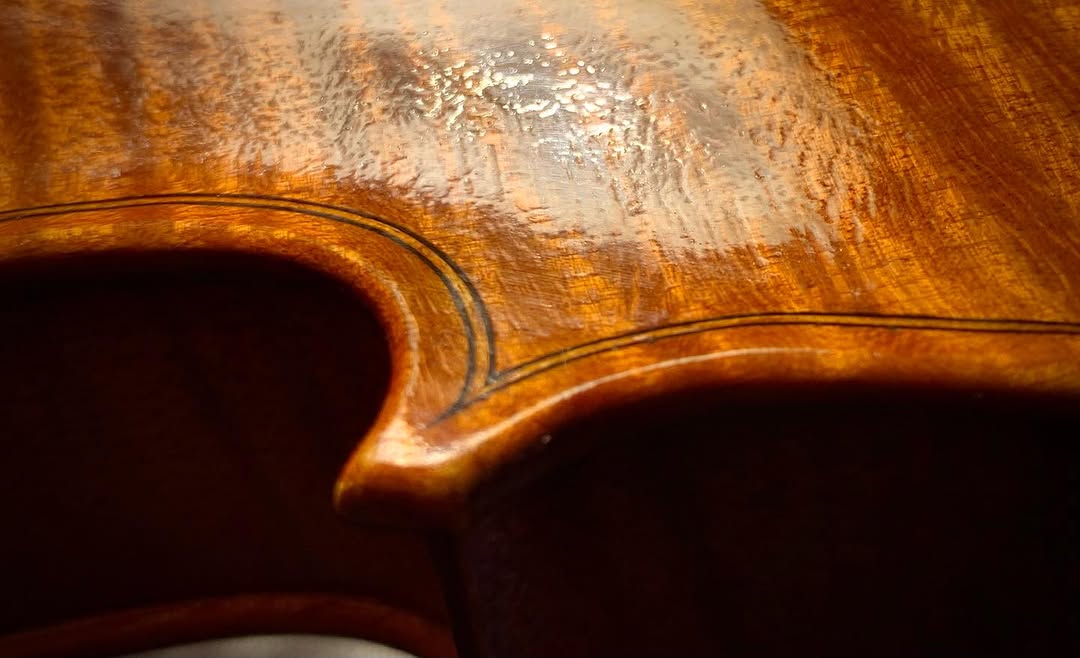 Varnish texture detail — amber oil varnish