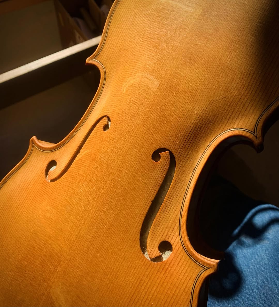 Violin top plate — varnished spruce