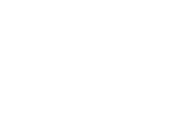 Pieter Goossens logo